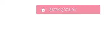 Alarm Widget